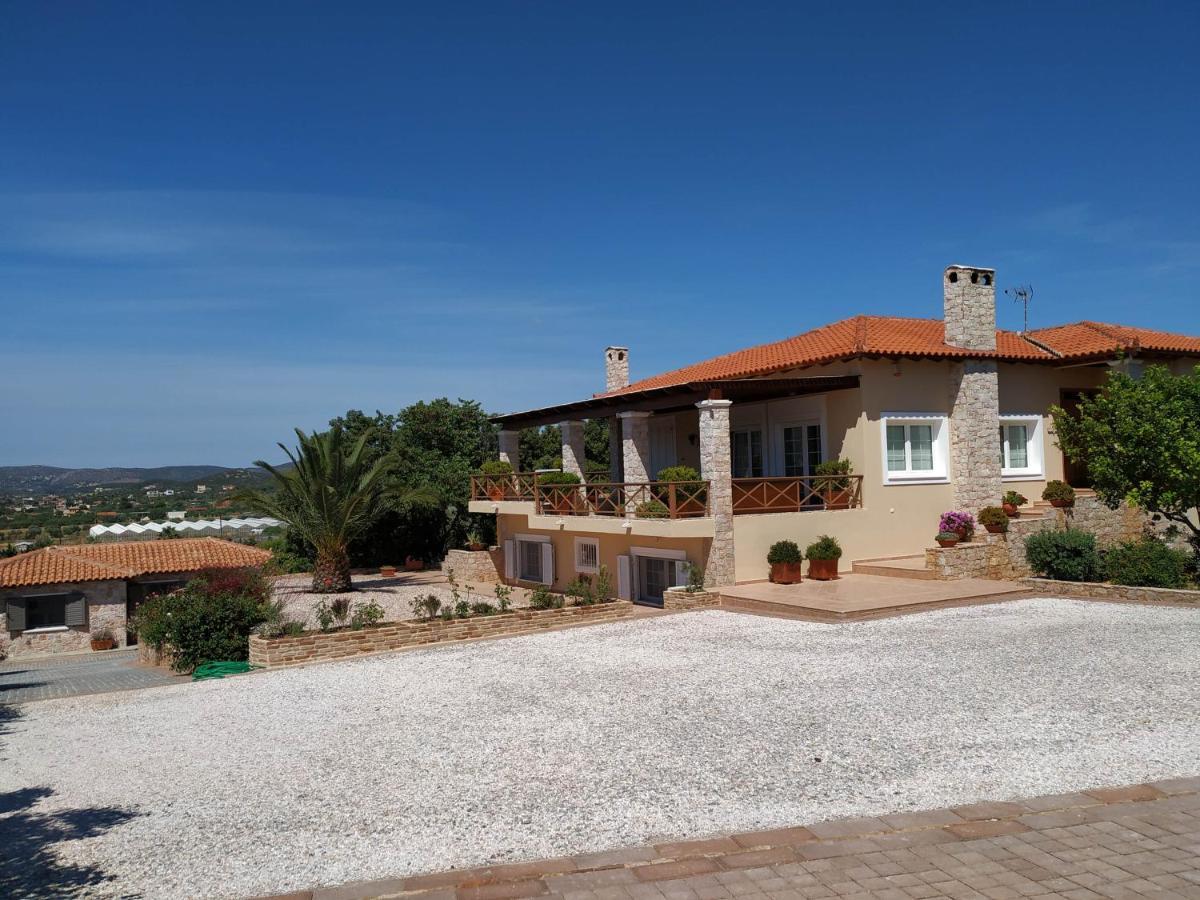 Villa Vena Palaiá Fókaia Kültér fotó